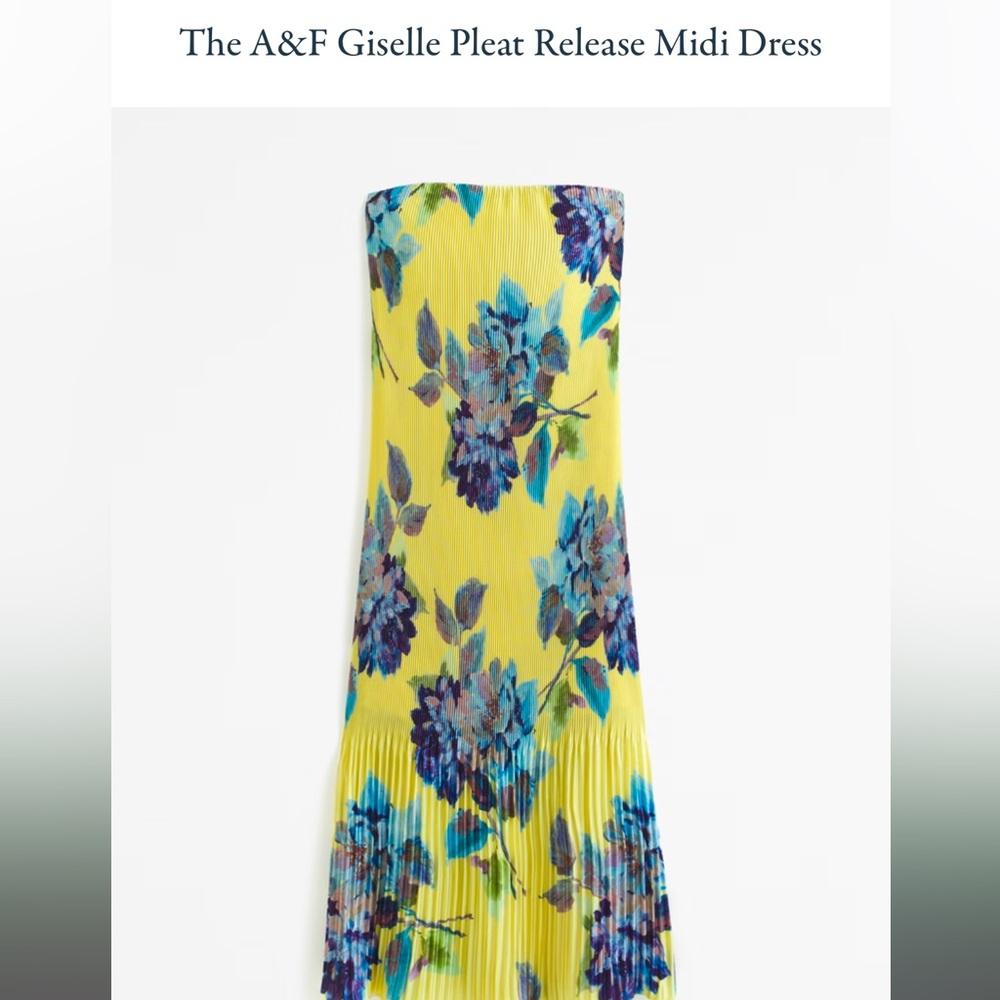 A&F Giselle Pleat Release Midi Dress